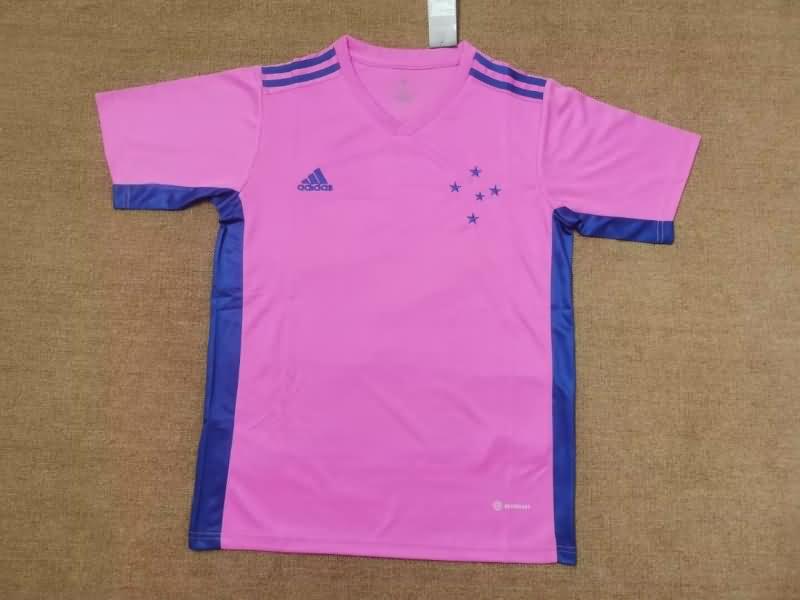 Thailand Quality(AAA) 2022 Cruzeiro Pink Soccer Jersey