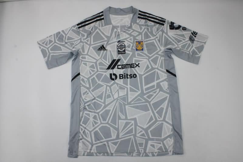 Thailand Quality(AAA) 2022 Tigres UANL Goalkeeper Grey Soccer Jersey