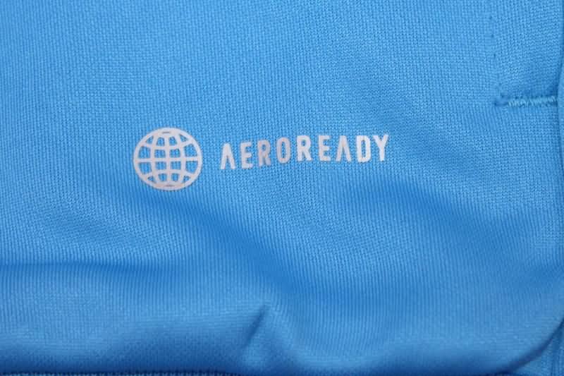 Thailand Quality(AAA) 2022 Argentina Blue Soccer Jacket