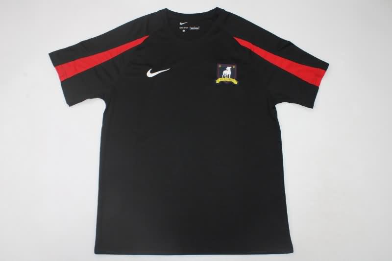 Thailand Quality(AAA) 23/24 AFC Richmond Training Soccer Jersey 02