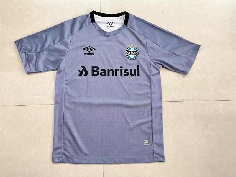 Thailand Quality(AAA) 2023 Gremio Training Soccer Jersey