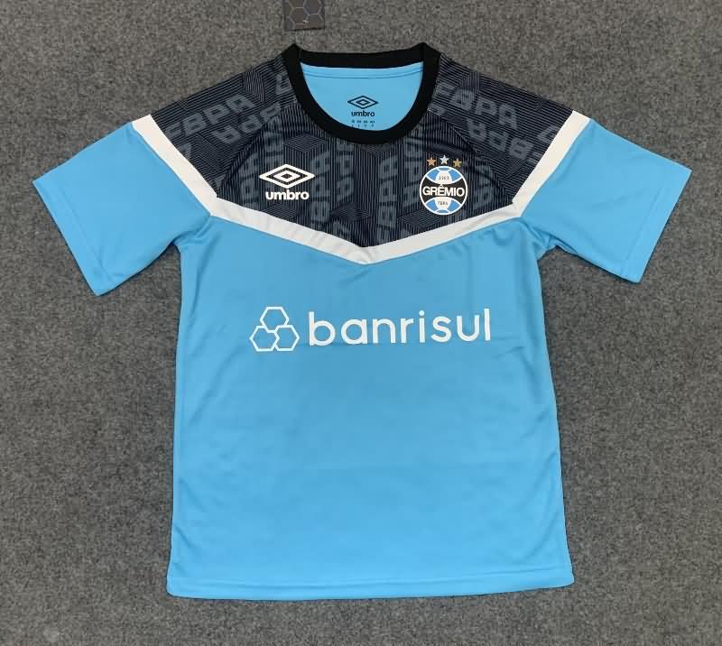 Thailand Quality(AAA) 2023 Gremio Training Soccer Jersey 03