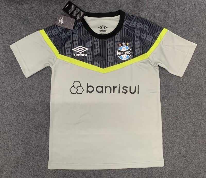 Thailand Quality(AAA) 2023 Gremio Training Soccer Jersey 04