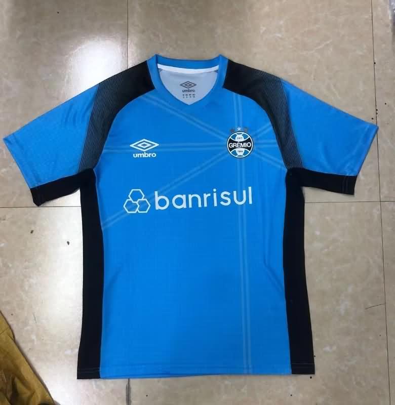 Thailand Quality(AAA) 2023 Gremio Training Soccer Jersey 05