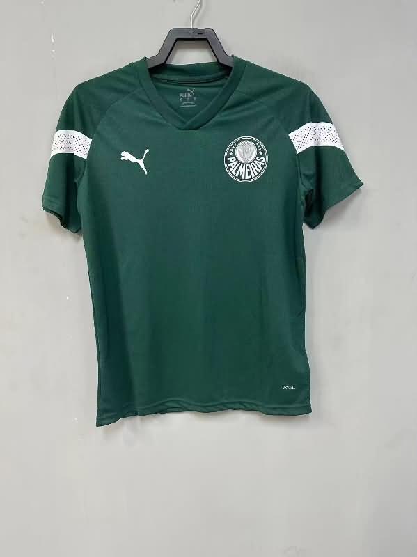 Thailand Quality(AAA) 2023 Palmeiras Training Soccer Jersey