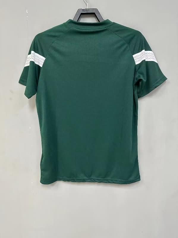 Thailand Quality(AAA) 2023 Palmeiras Training Soccer Jersey