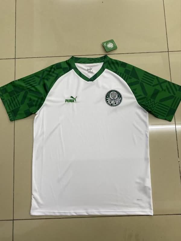 Thailand Quality(AAA) 2023 Palmeiras Training Soccer Jersey 04