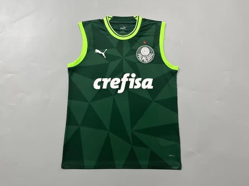 Thailand Quality(AAA) 2023 Palmeiras Training Vest Soccer Jersey