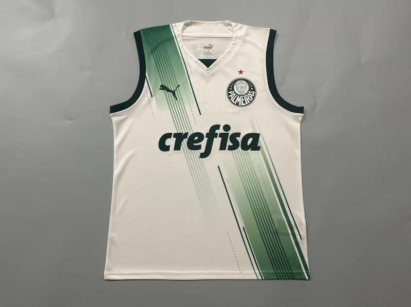 Thailand Quality(AAA) 2023 Palmeiras Training Vest Soccer Jersey 02