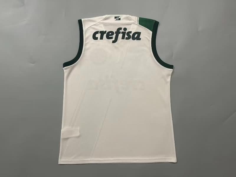 Thailand Quality(AAA) 2023 Palmeiras Training Vest Soccer Jersey 02