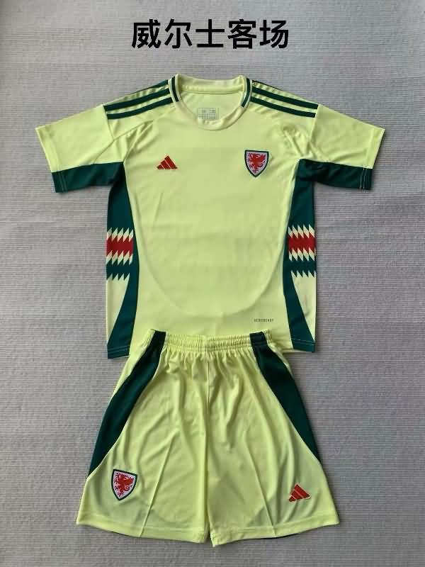 2024 Wales Away Soccer Jersey