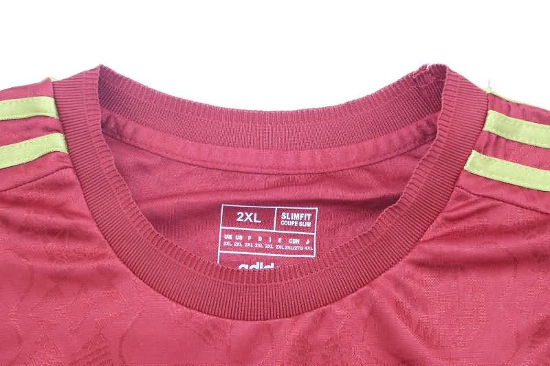 Thailand Quality(AAA) 125th Bayern Munich Anniversary Long Sleeve Soccer Jersey (Player)