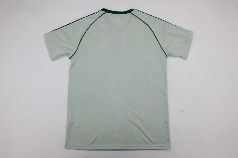 Thailand Quality(AAA) 24/25 Celtic Training Soccer Jersey 03