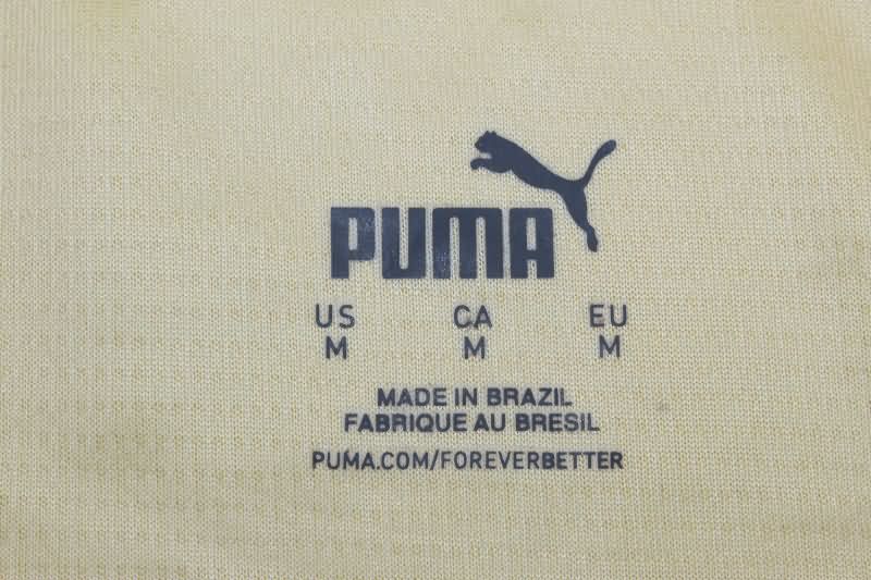 Thailand Quality(AAA) 24/25 Dortmund Special Soccer Jersey