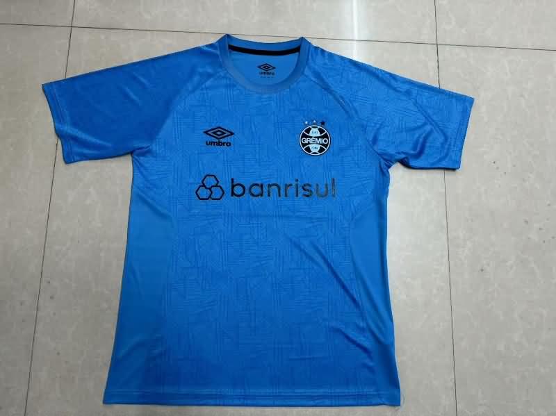 Thailand Quality(AAA) 2024 Gremio Training Soccer Jersey