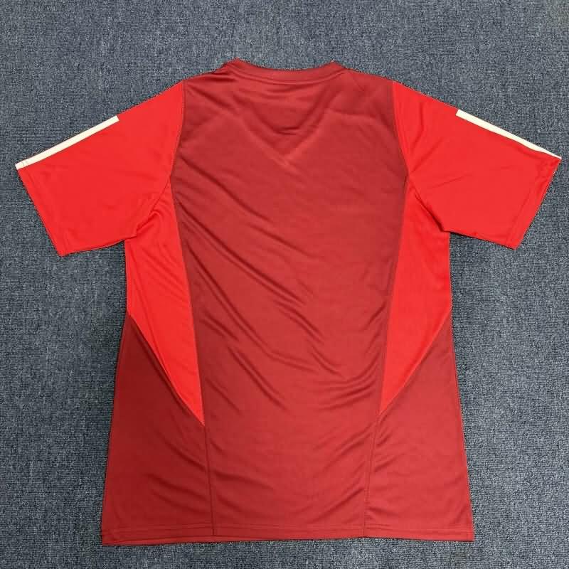 Thailand Quality(AAA) 2024 Sport Club Internacional Training Soccer Jersey