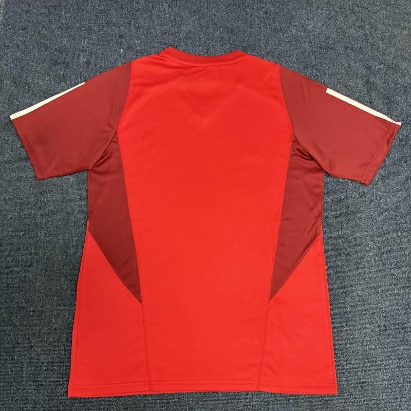 Thailand Quality(AAA) 2024 Sport Club Internacional Training Soccer Jersey 02