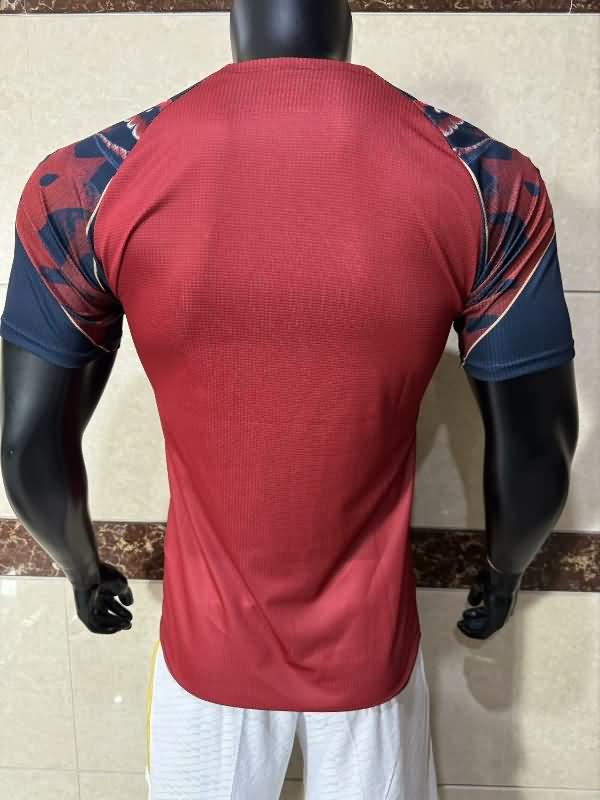 Thailand Quality(AAA) 24/25 Manchester United Special Soccer Jersey (Player) 09