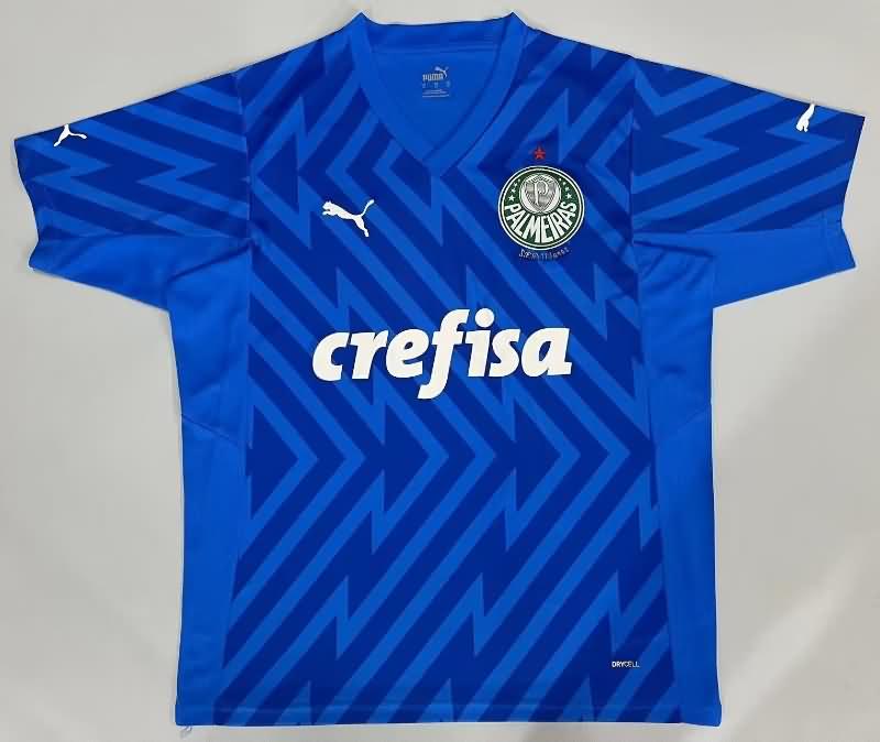 Thailand Quality(AAA) 2024 Palmeiras Goalkeeper Blue Soccer Jersey
