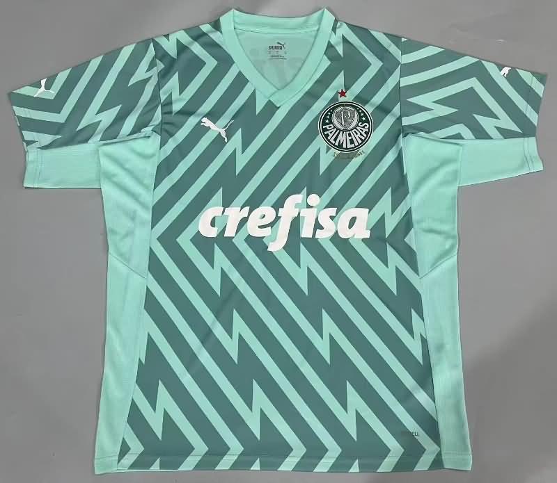 Thailand Quality(AAA) 2024 Palmeiras Goalkeeper Green Soccer Jersey