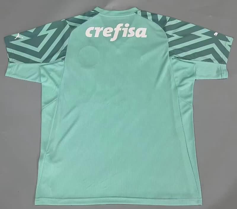 Thailand Quality(AAA) 2024 Palmeiras Goalkeeper Green Soccer Jersey