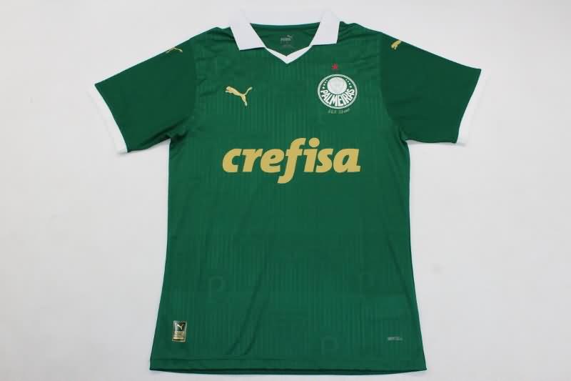 Thailand Quality(AAA) 2024 Palmeiras Home Soccer Jersey (Player)