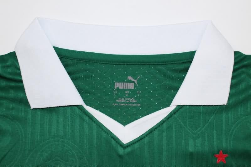 Thailand Quality(AAA) 2024 Palmeiras Home Soccer Jersey (Player)