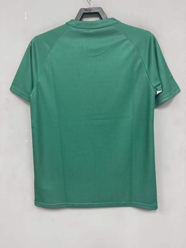 Thailand Quality(AAA) 2024 Palmeiras Training Soccer Jersey 02