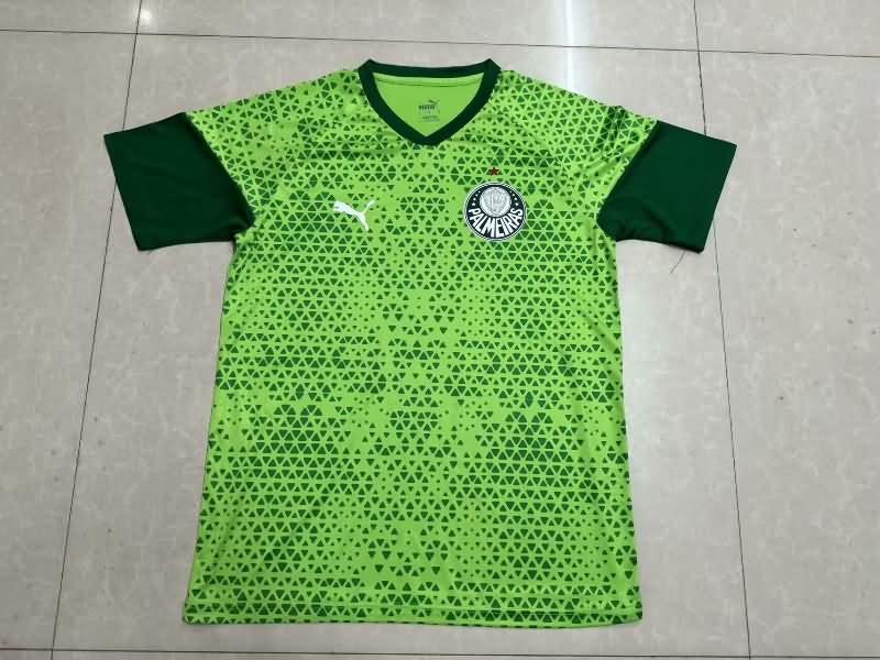 Thailand Quality(AAA) 2024 Palmeiras Training Soccer Jersey 03