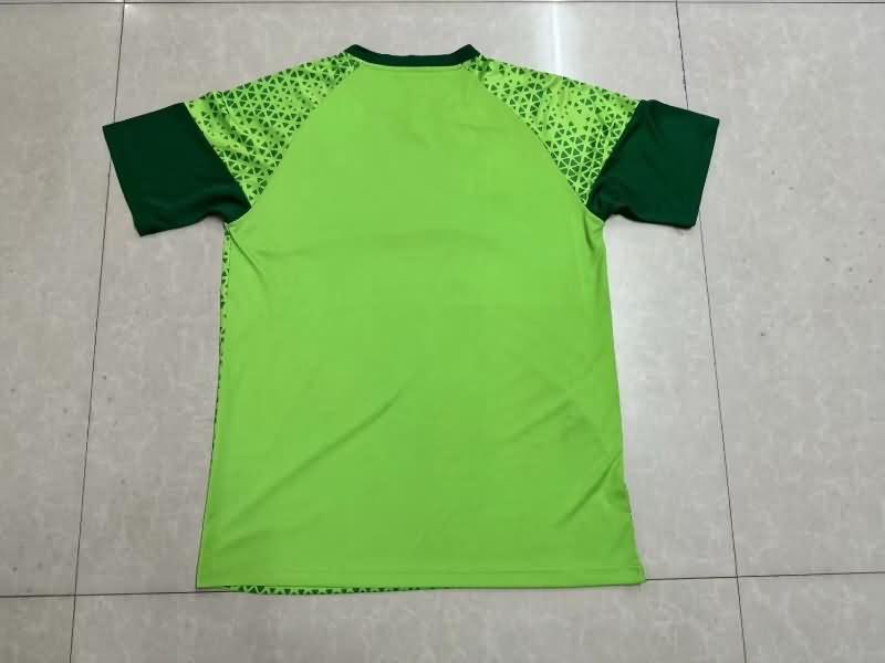 Thailand Quality(AAA) 2024 Palmeiras Training Soccer Jersey 03