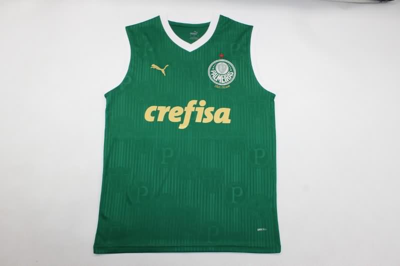 Thailand Quality(AAA) 2024 Palmeiras Training Vest Soccer Jersey