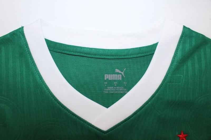 Thailand Quality(AAA) 2024 Palmeiras Training Vest Soccer Jersey