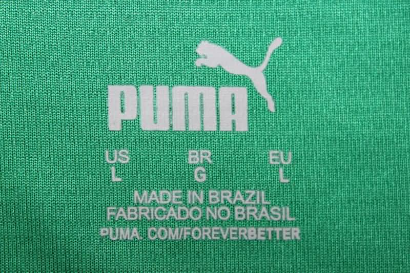 Thailand Quality(AAA) 2024 Palmeiras Training Vest Soccer Jersey