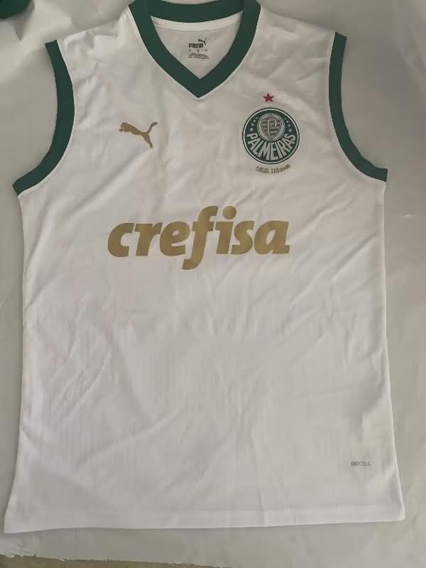 Thailand Quality(AAA) 2024 Palmeiras Training Vest Soccer Jersey 02