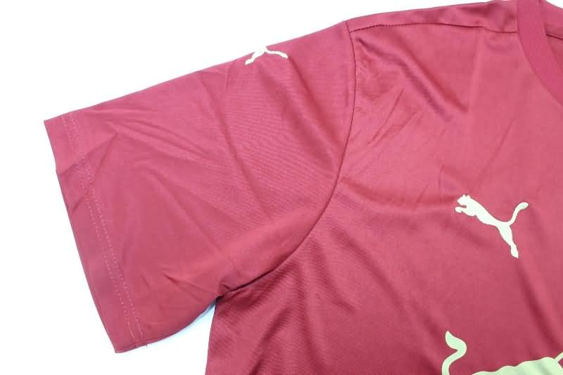 Thailand Quality(AAA) 24/25 RB Leipzig Special Soccer Jersey
