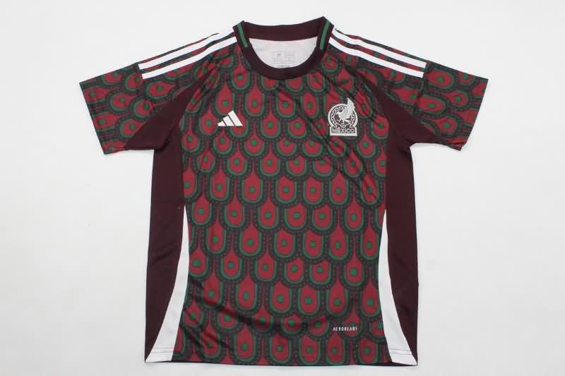 2024 Mexico Copa America Home Kids Soccer Jersey And Shorts