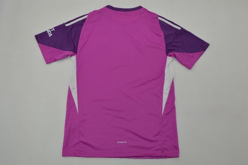 Thailand Quality(AAA) 25/26 Arsenal Goalkeeper Purple Soccer Jersey