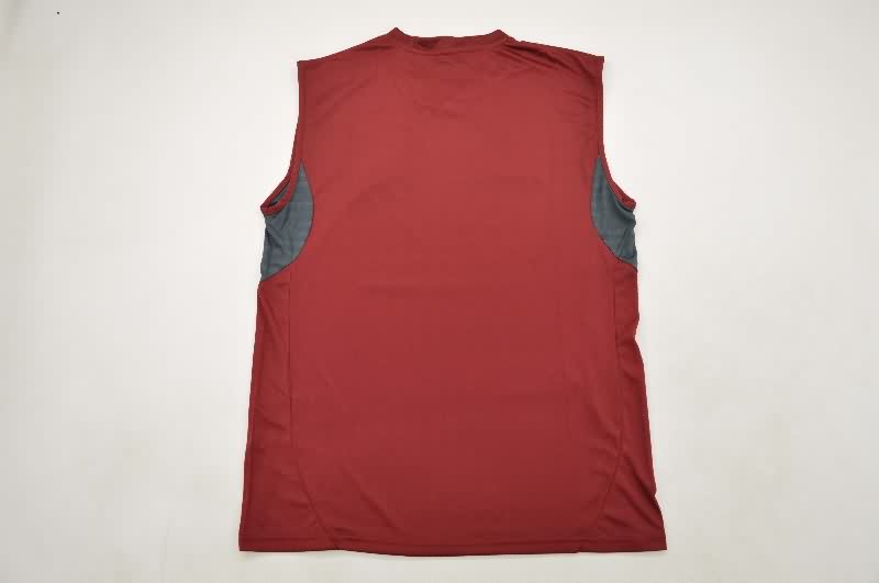 Thailand Quality(AAA) 25/26 Arsenal Training Vest Soccer Jersey