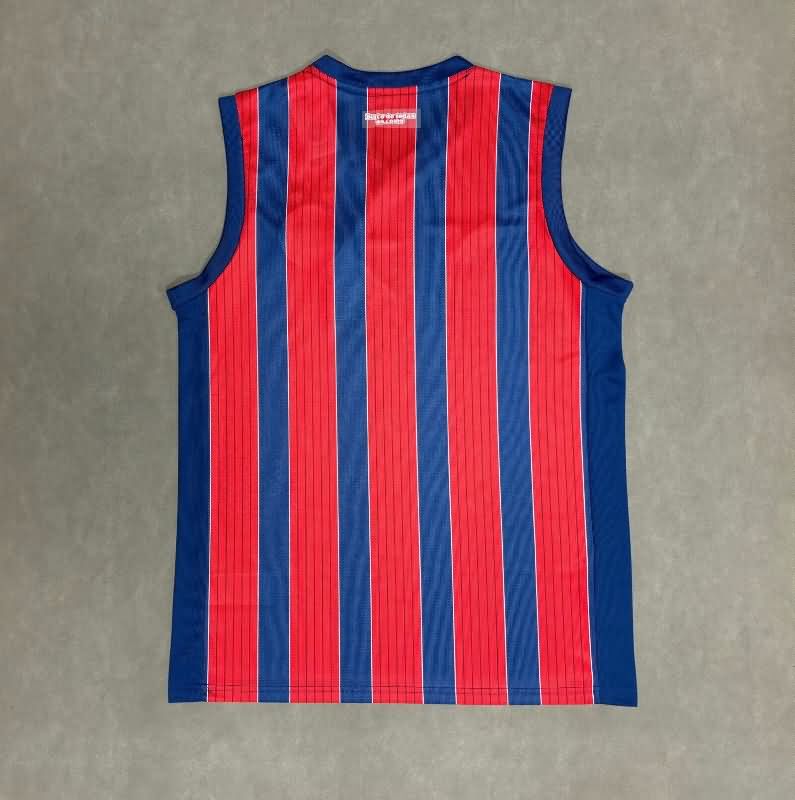 Thailand Quality(AAA) 2025 Bahia Training Vest Soccer Jersey