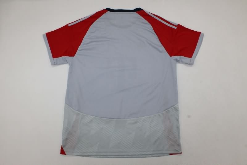Thailand Quality(AAA) 25/26 Bayern Munich Grey Soccer Jersey