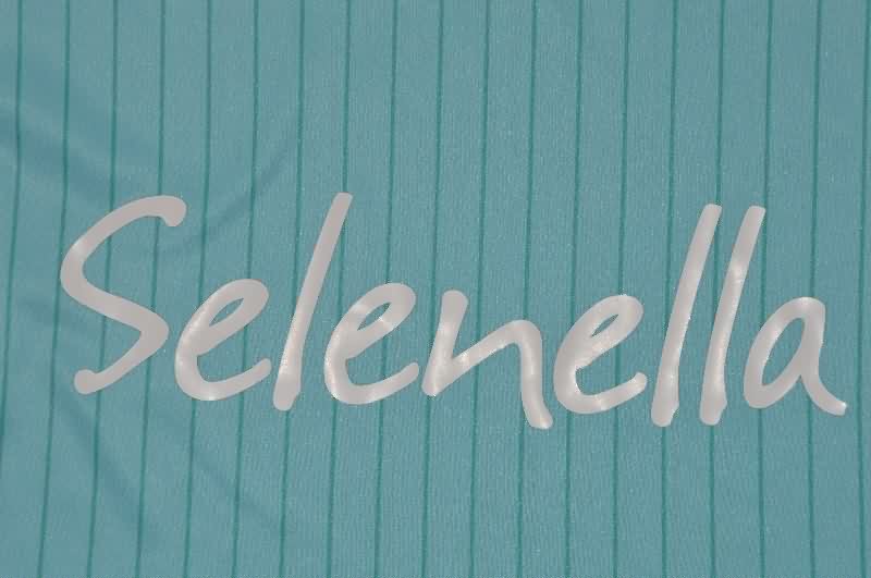 Thailand Quality(AAA) 25/26 Bologna Third Soccer Jersey