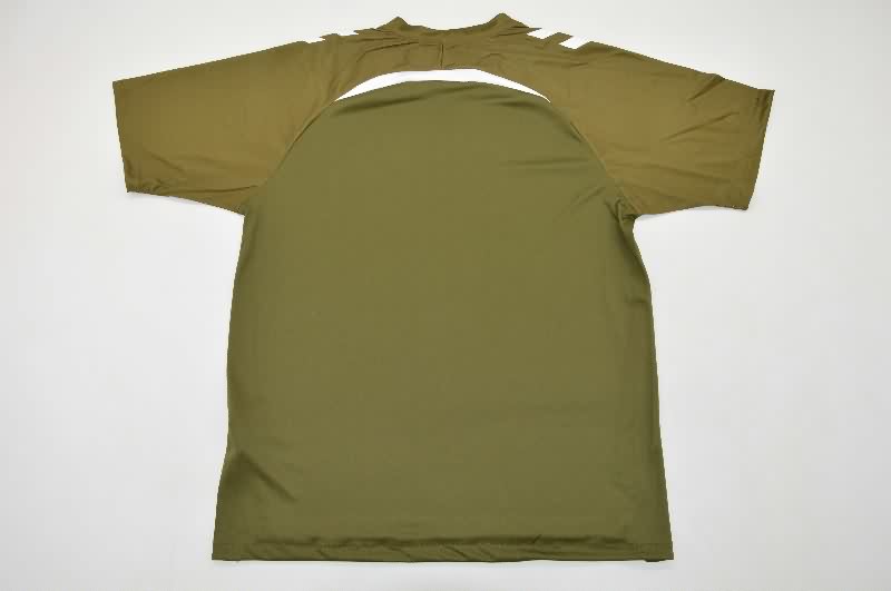 Thailand Quality(AAA) 25/26 Celta Training Soccer Jersey