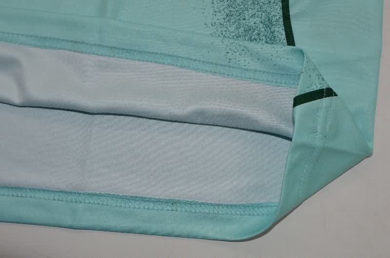 Thailand Quality(AAA) 25/26 Copenhagen Third Soccer Jersey