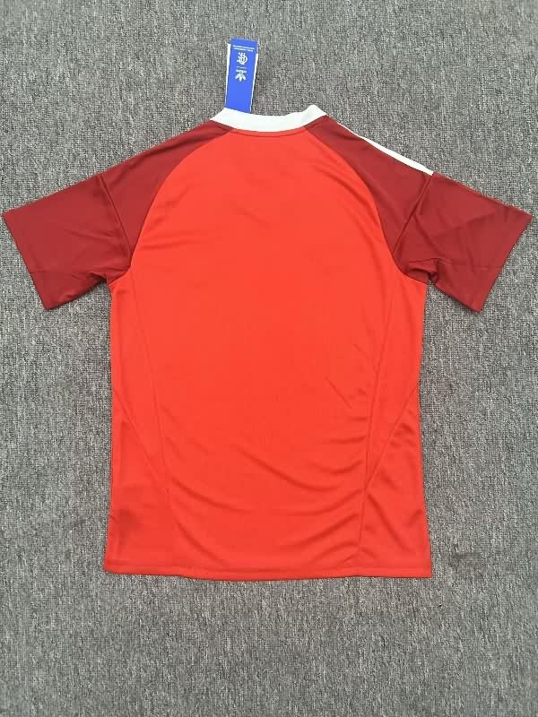 Thailand Quality(AAA) 2025 Flamengo Goalkeeper Red Soccer Jersey