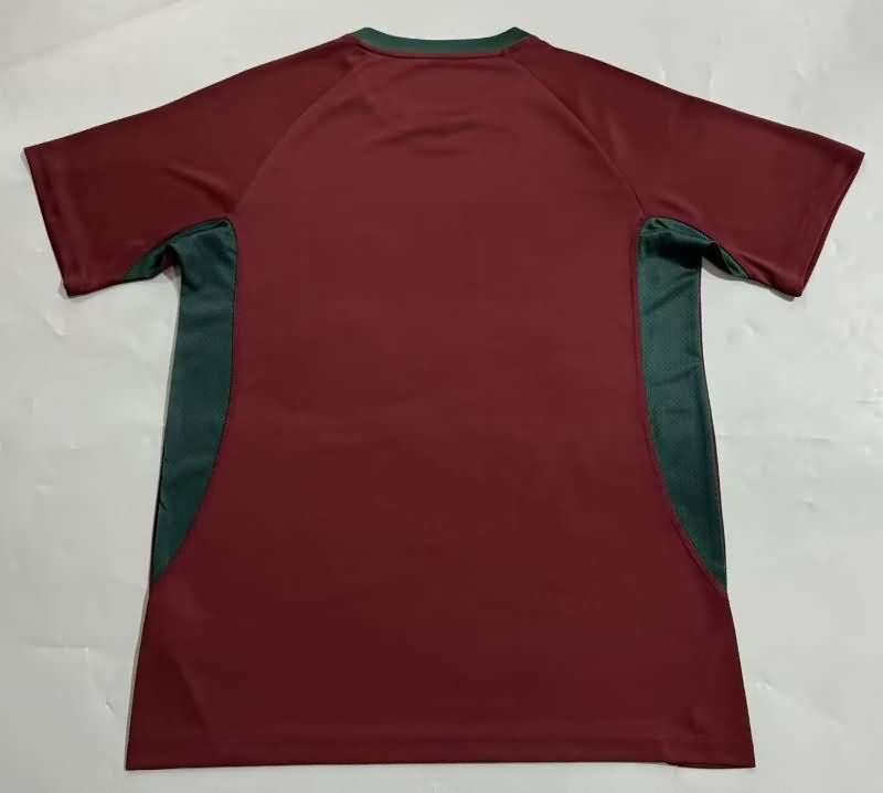 Thailand Quality(AAA) 2025 Fluminense Training Soccer Jersey