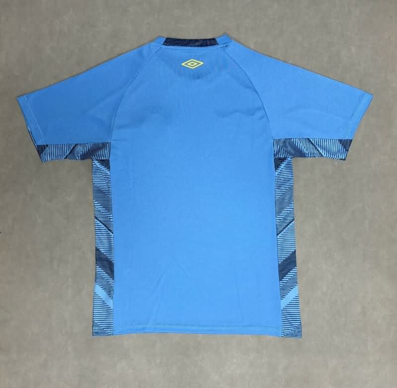 Thailand Quality(AAA) 2025 Gremio Goalkeeper Blue Soccer Jersey