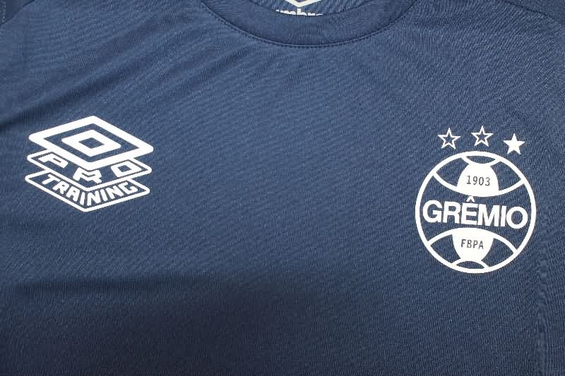 Thailand Quality(AAA) 2025 Gremio Training Vest Soccer Jersey 02