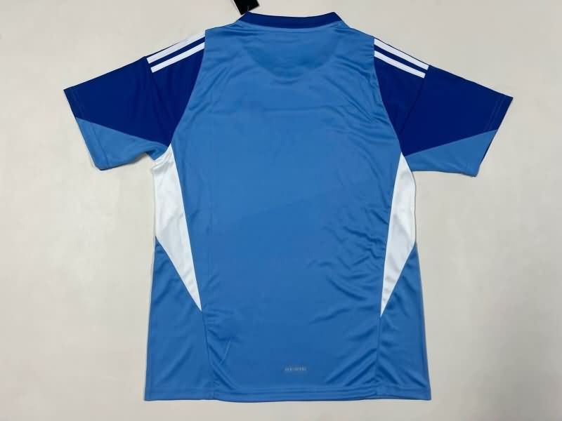 Thailand Quality(AAA) 25/26 Guadalajara Goakeeper Blue Soccer Jersey