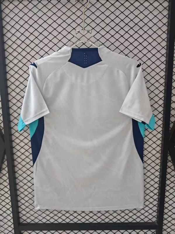 Thailand Quality(AAA) 25/26 Hoffenheim Third Soccer Jersey