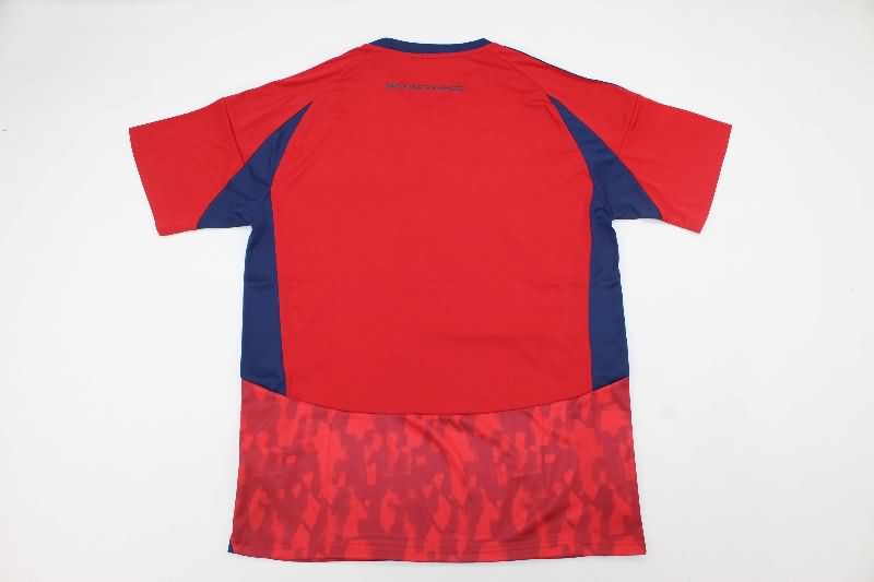 Thailand Quality(AAA) 2025 Independiente De Medellin Home Soccer Jersey